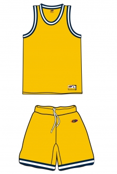 Basketball - Style 250