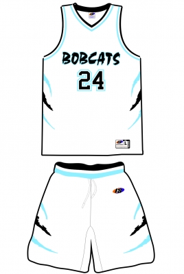 Basketball - Style 504