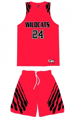 Basketball - Style 508